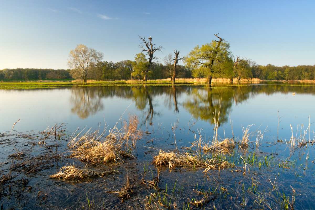 Soutok Moravy a Dyje se stane novu chráněnou krajinnou oblastí.