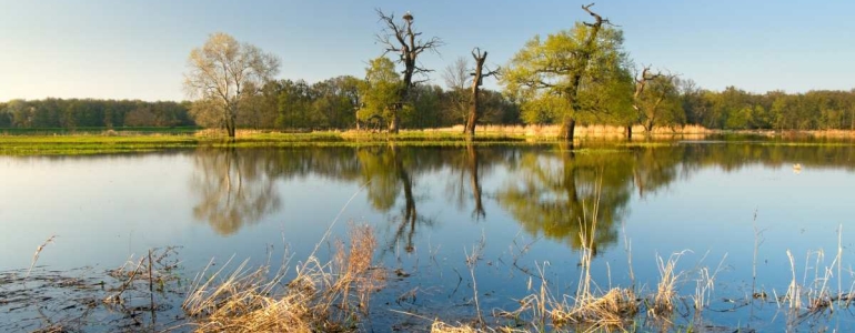 Soutok Moravy a Dyje se stane novu chráněnou krajinnou oblastí.