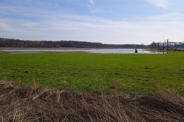 Zatopené pole u Kostic