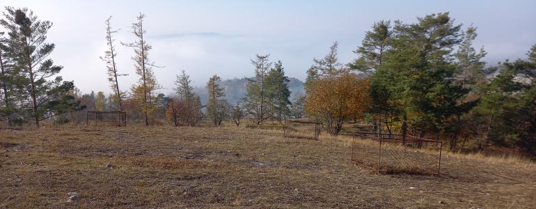 Foto: Pavla Pokorná