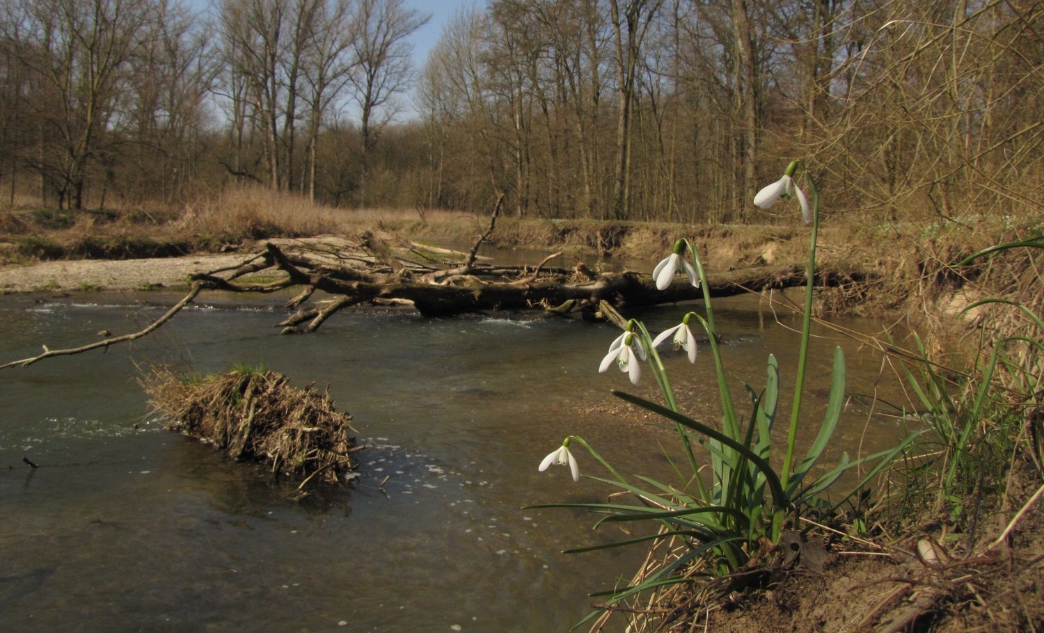 Archiv AOPK ČR, Regionální pracoviště Olomoucko, Správa CHKO Litovelské Pomoraví.