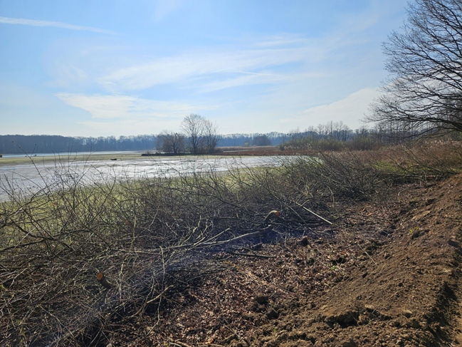 Opatření k ochraně mokřadních ekosystémů v PR Kotvice