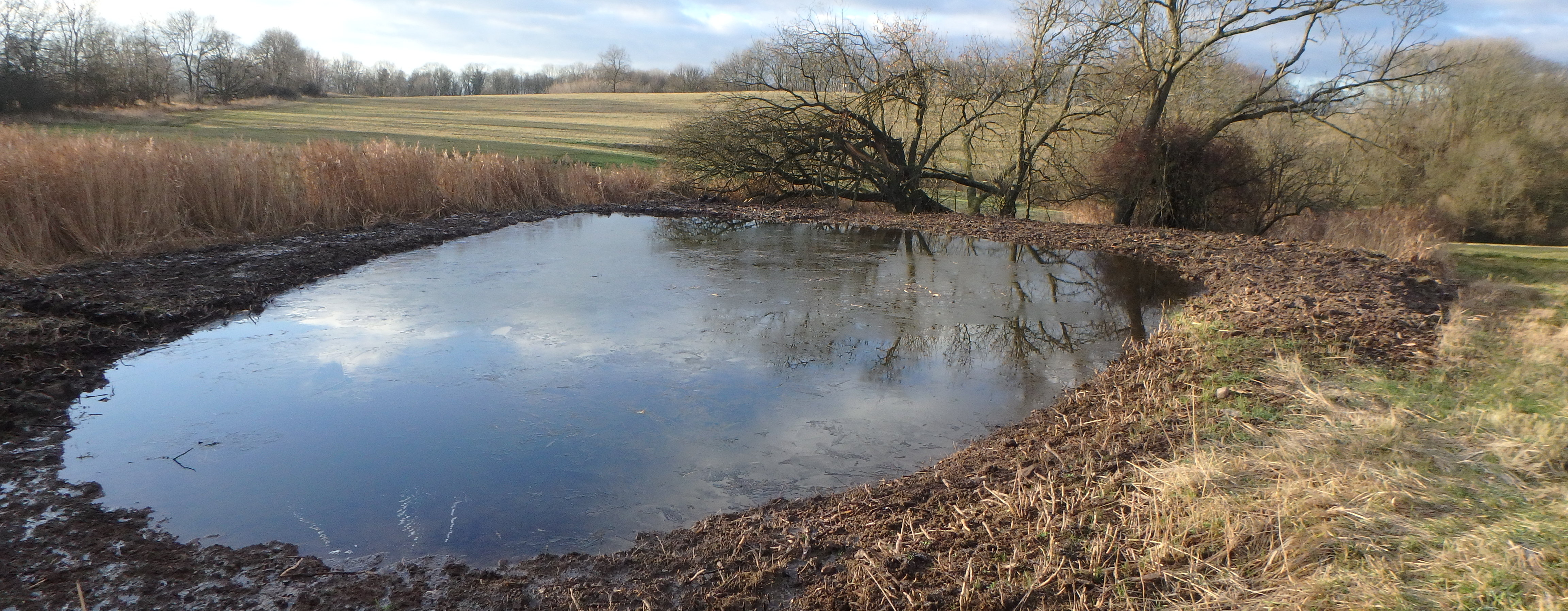 Tůň Nackovice s okolím.