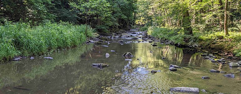 Ilustrační fotografie potoku.