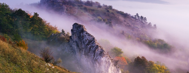 Mlhavé ráno na Stolové hoře.
