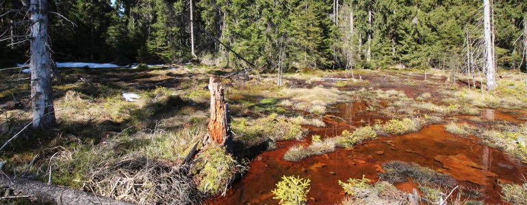 Přírodní rezervace Smraďoch.