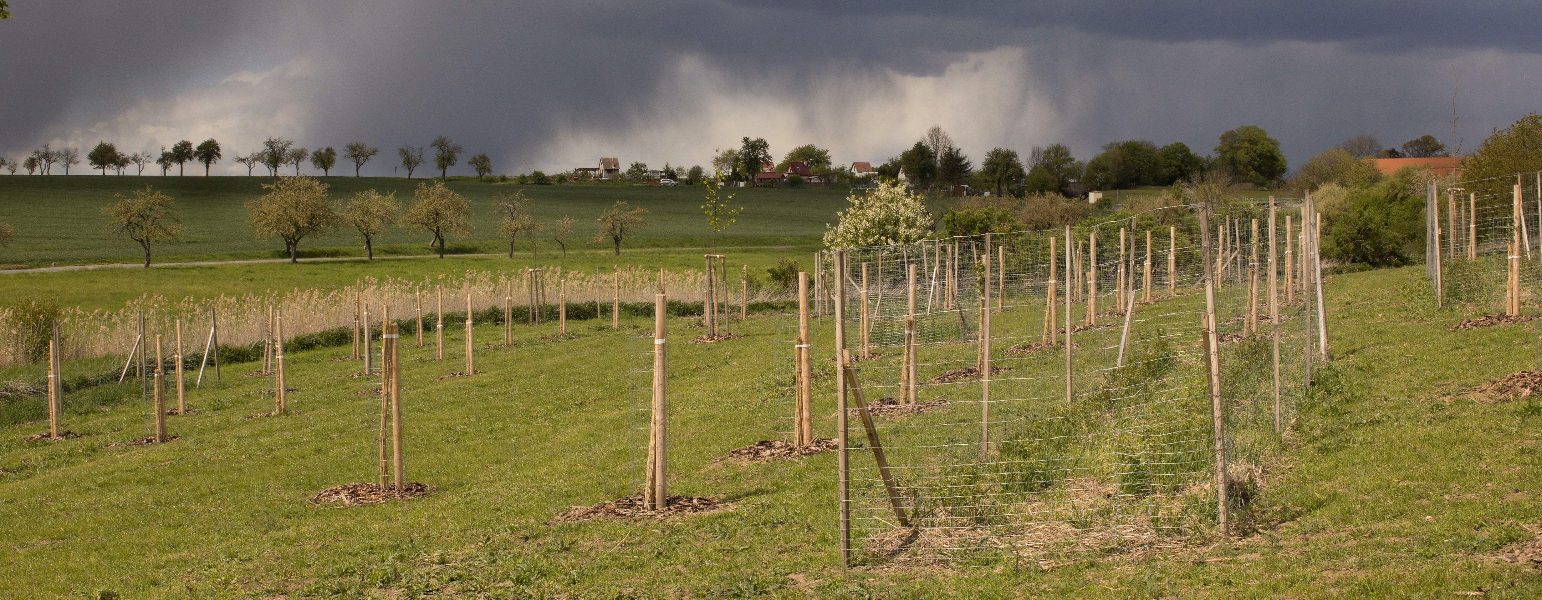 Ilustrační fotografie k semináři OPŽP.