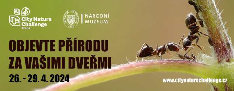 Banner mapovací soutěže měst City Nature Challenge 2024.