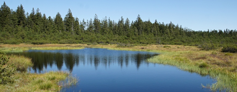 Rašeliniště s jezírkem v budoucí CHKO Krušné hory.