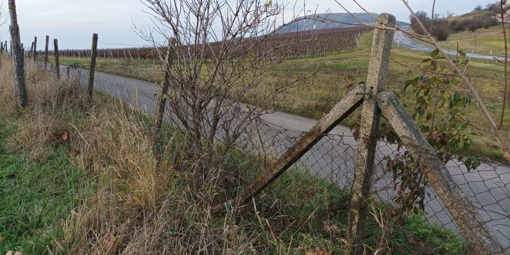 Staré a zničené ploty v okolí Děvína.