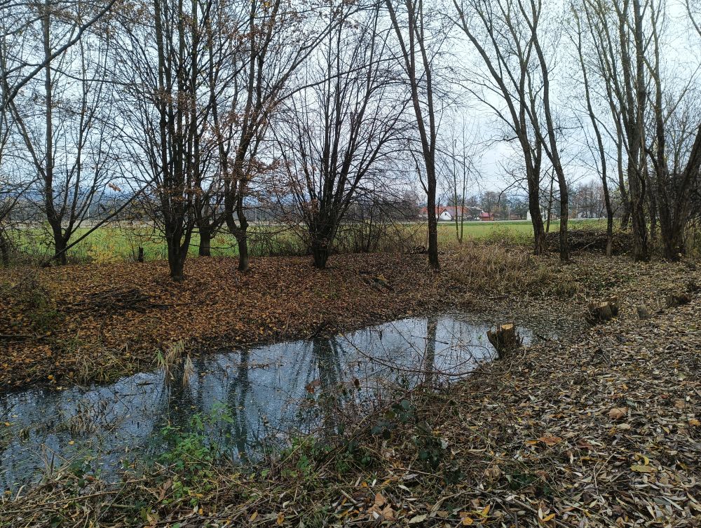 Výřez v PP Rákosina ve Stříteži n. B.