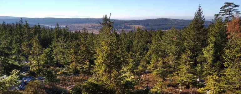 Přírodní památka Kočka v CHKO Brdy