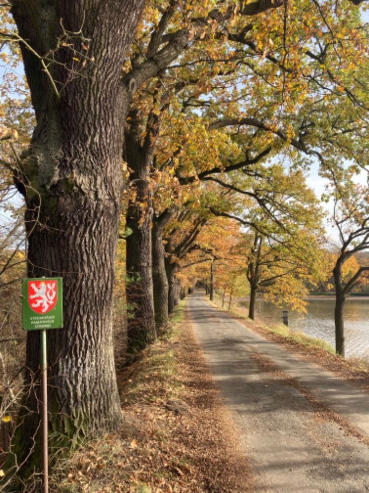 Kurejová Zuzana 3 - vyřazeno - mimo CHKO