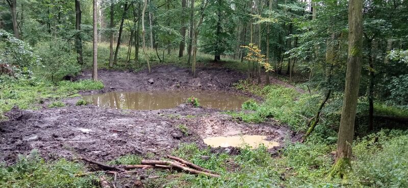 Nové tůně v Českém středohoří.