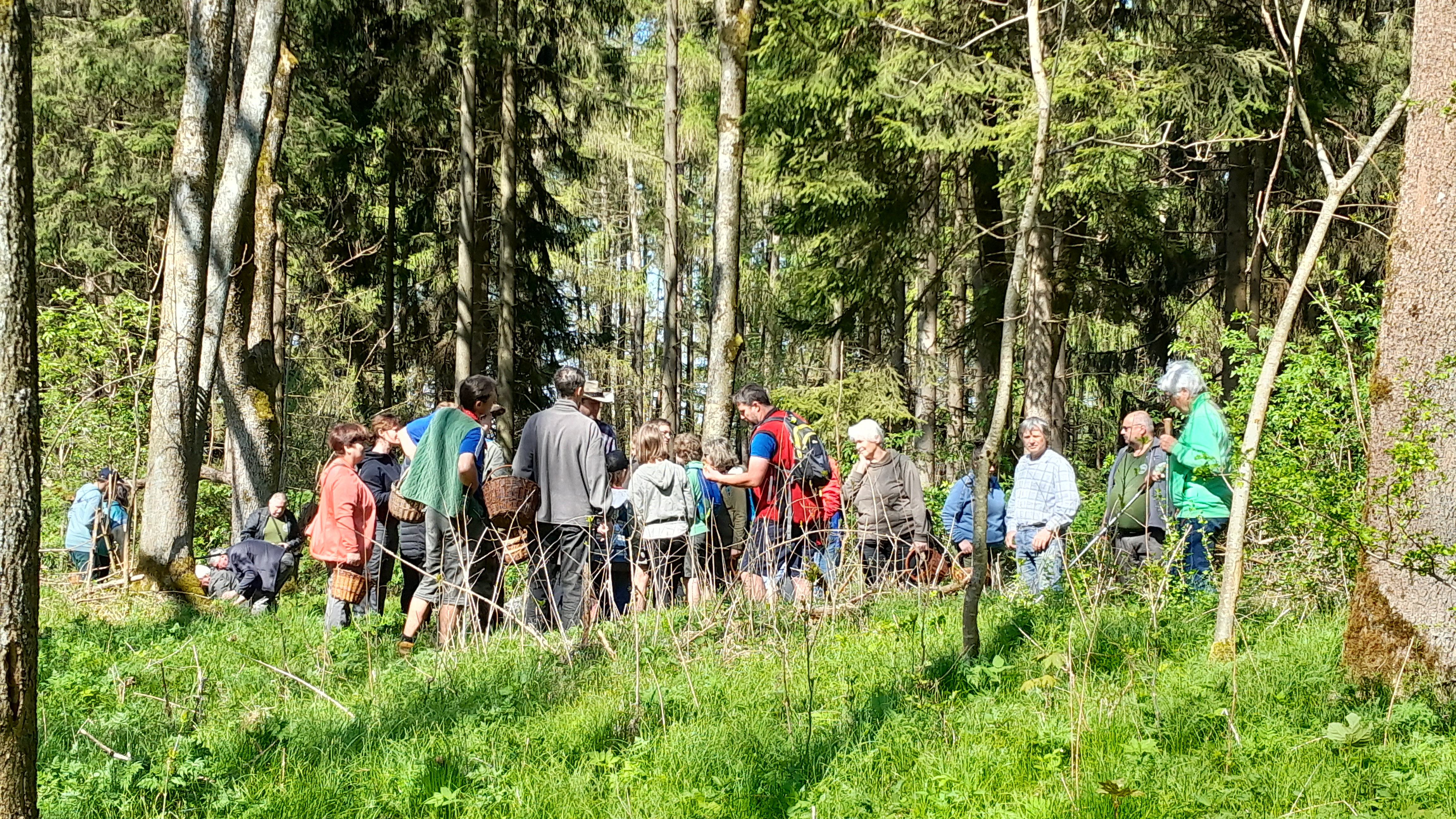 jarní mykologická exkurze