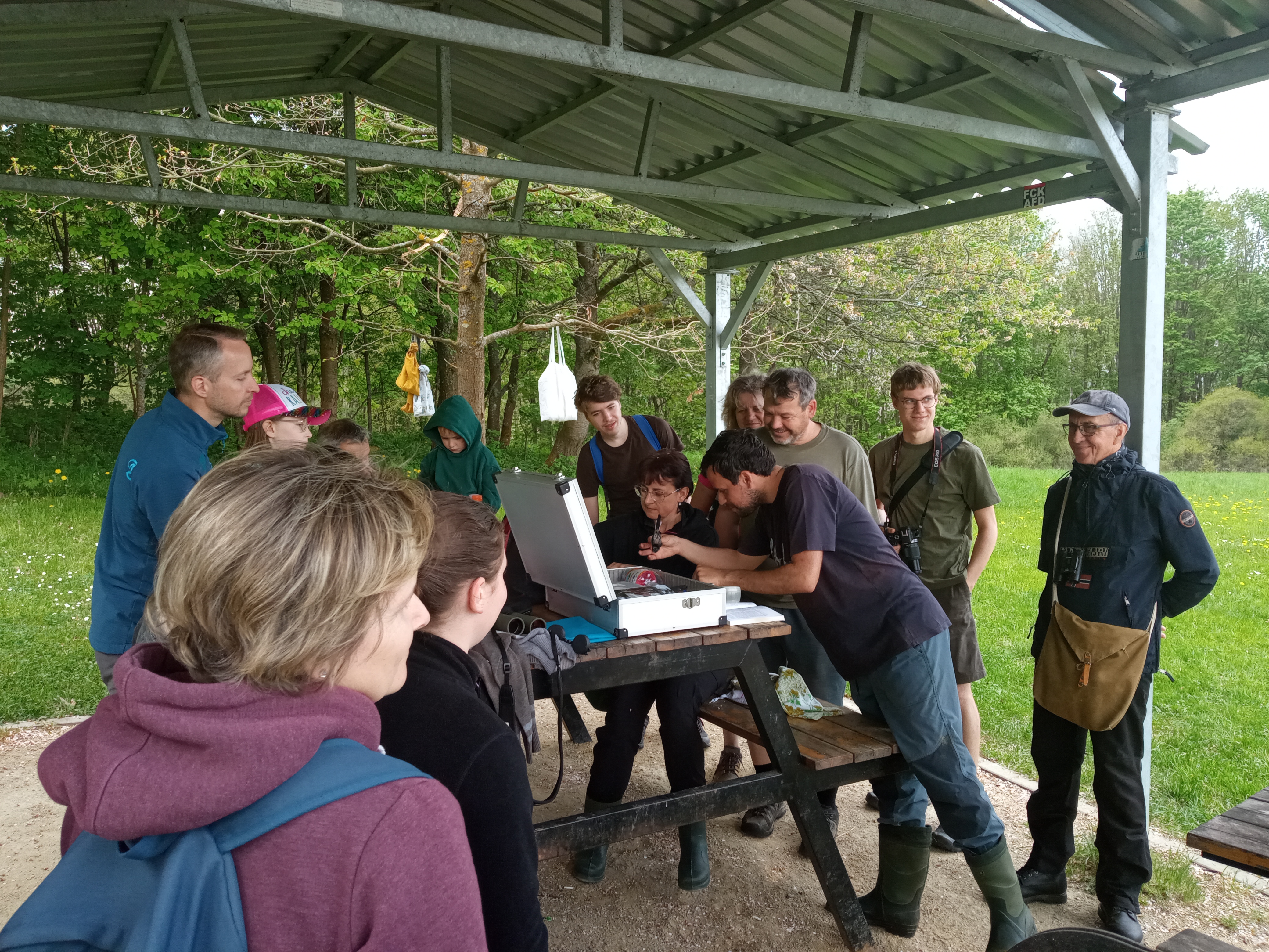 kroužkování odchycených ptáků