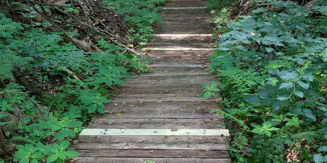 Nová dubová prkna v povalovém chodníku.