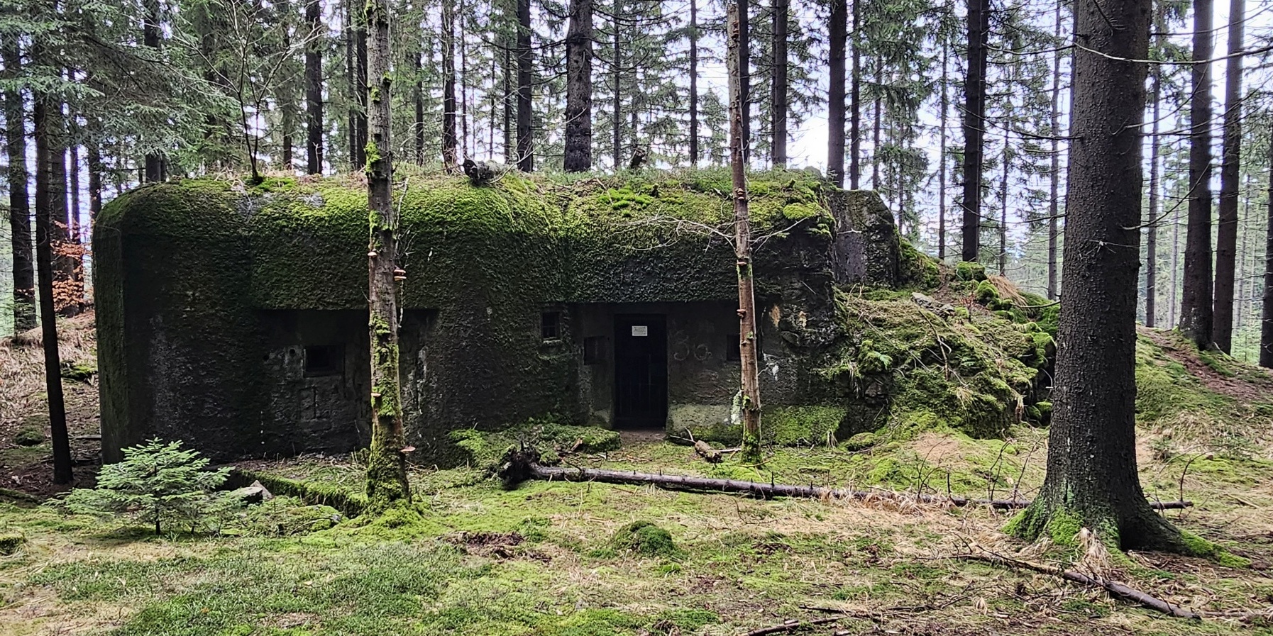 Bunkr se zabezpečeným vchodem. Foto: Václav Pavel