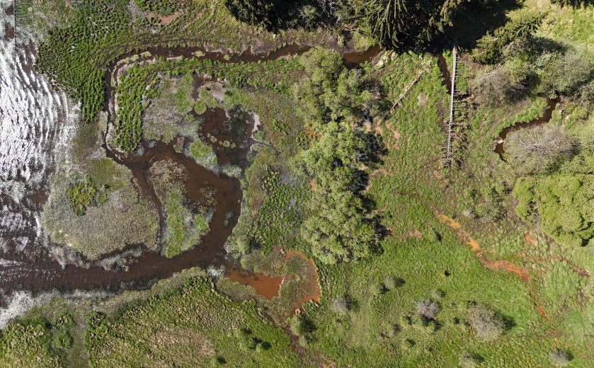 Mokřady SL z ptačí perspektivy