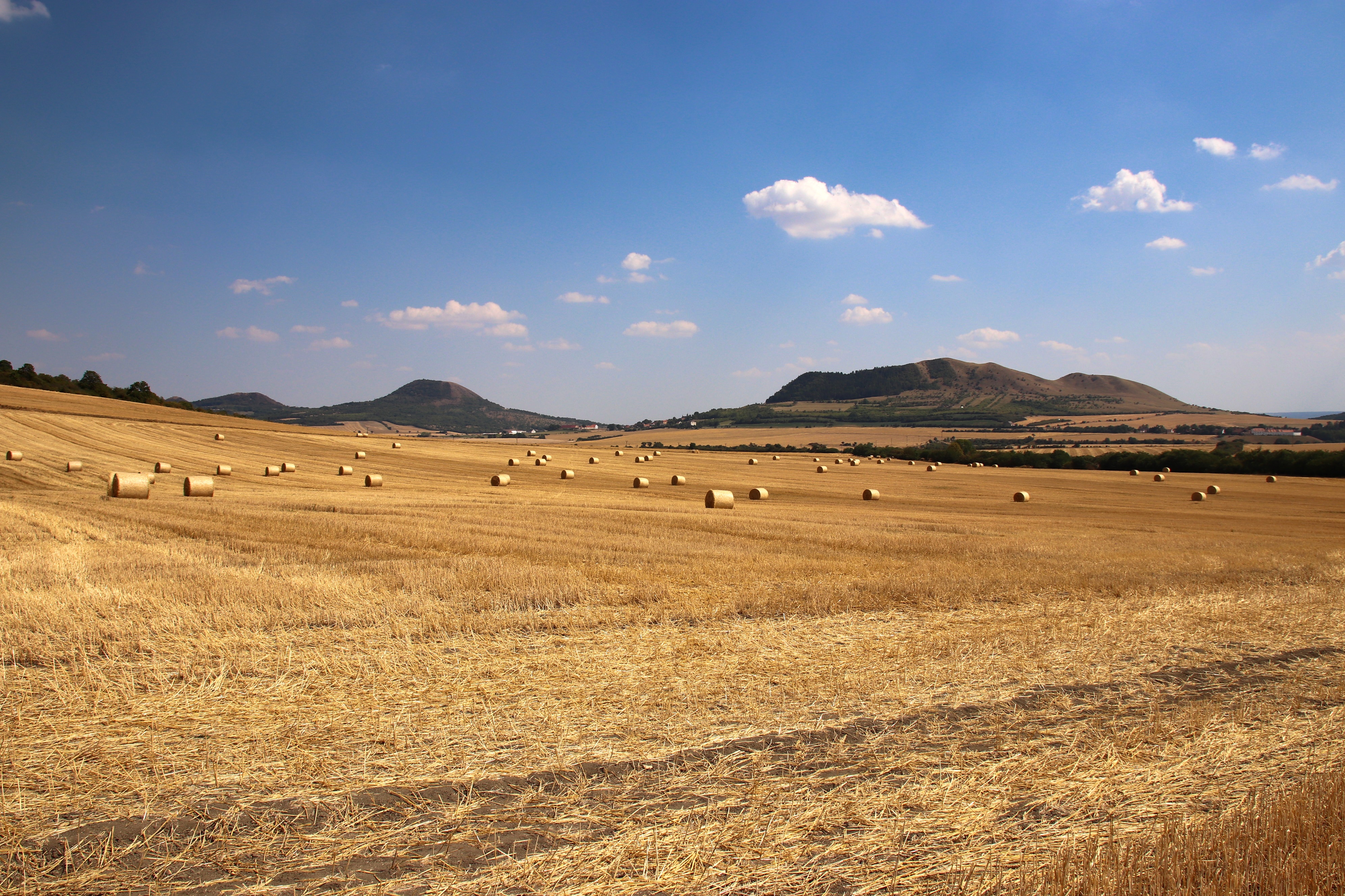 Krajina Lounského středohoří.