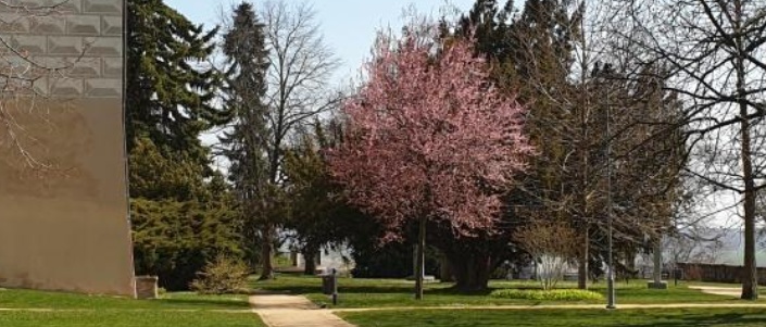 Zámek Benátky se zelení.