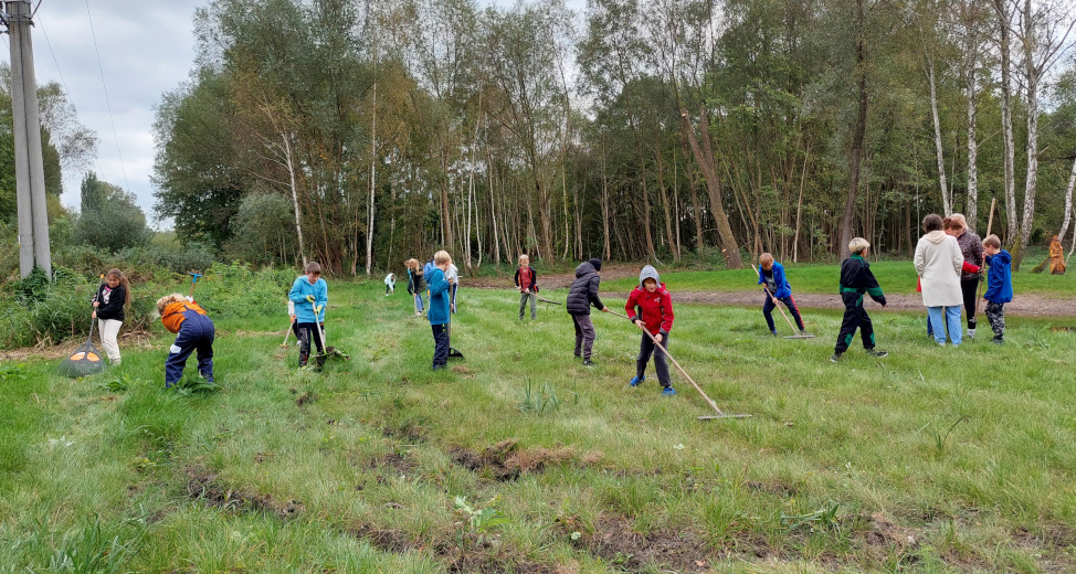 Žáci ZŠ Velký Borek hrabičkami narušují půdní povrch, aby sem lépe zapadla semínka.
